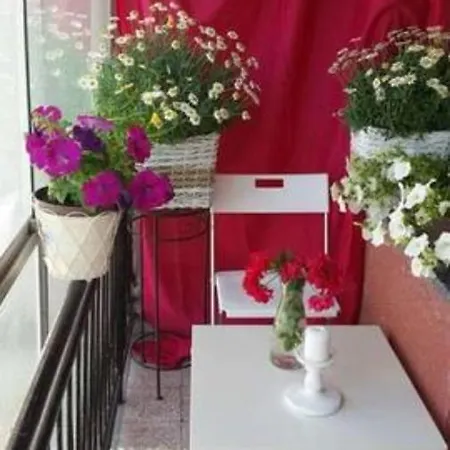 招待所 & In The Rosy Garden 3*