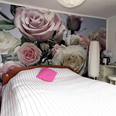 Guest house & In The Rosy Garden